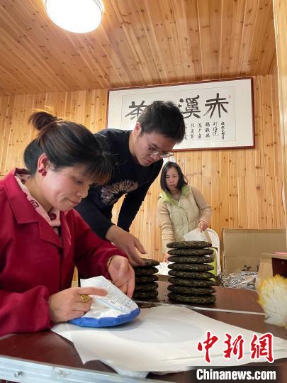 資料圖：杜贏(左二)在整理白茶餅?！×执阂?攝